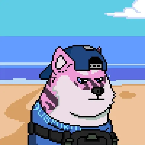 Doge Heroes #1315