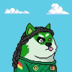 Doge Heroes #4507