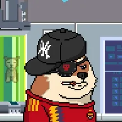 Doge Heroes #1005