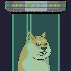 Doge Heroes #4574
