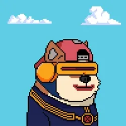 Doge Heroes #5781