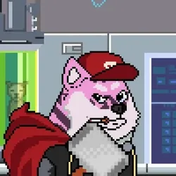 Doge Heroes #1365
