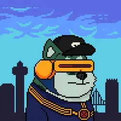 Doge Heroes #2134