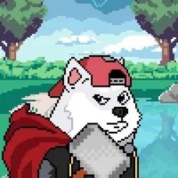 Doge Heroes #4106