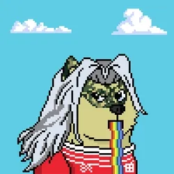 Doge Heroes #1153