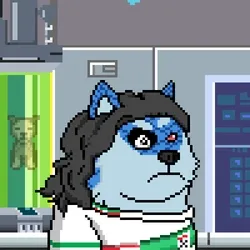 Doge Heroes #982