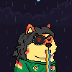 Doge Heroes #5313