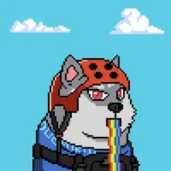 Doge Heroes #4883