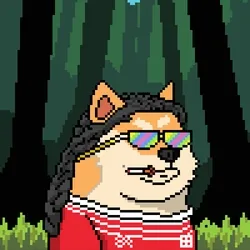 Doge Heroes #4171