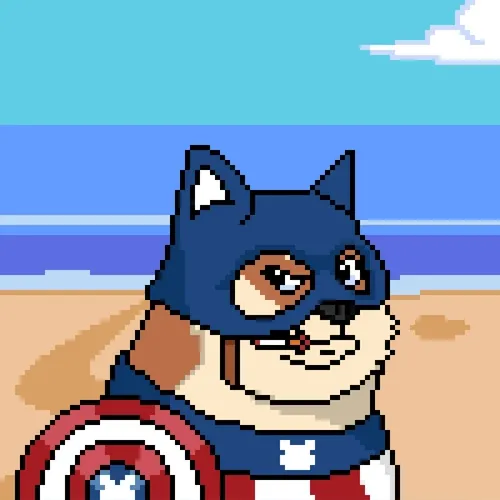 Doge Heroes #91