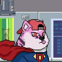 Doge Heroes #4055