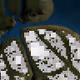 349