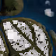 354