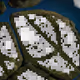 246