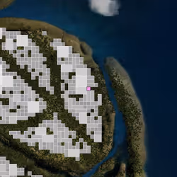 243