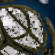 231