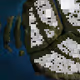 85