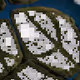 229