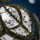 241