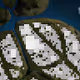 298