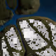 337
