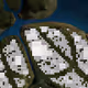 310