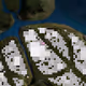 603