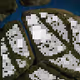 239