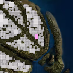 646