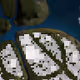 361