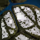 238