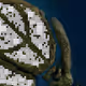 168