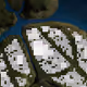 309