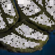 80