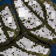 567
