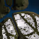 336