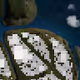 362