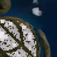 347