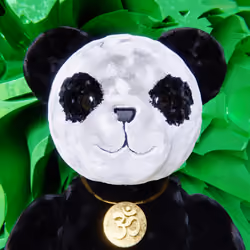 Minted Teddy #8