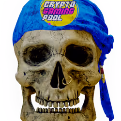 Skullys #12453