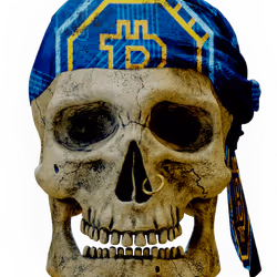Skullys #10671