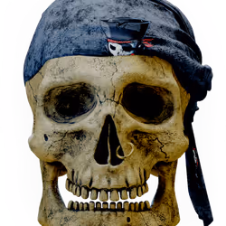 Skullys #11855