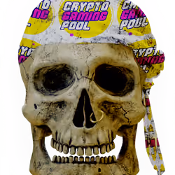 Skullys #12458