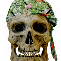 Skullys #11029
