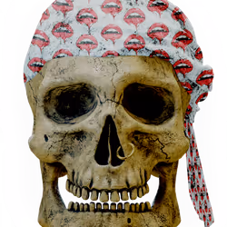 Skullys #12008