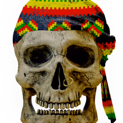 Skullys #12105