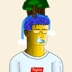 5229