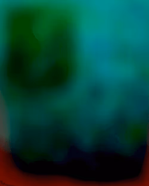 Item #24000001 Media