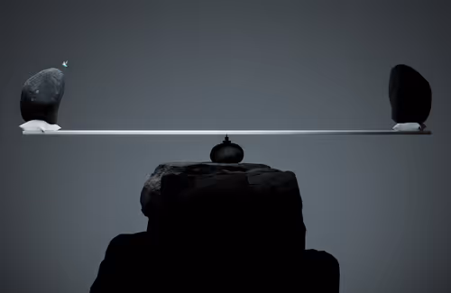 Item #30800060001 Media