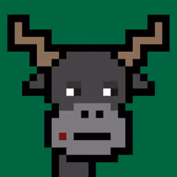 Bull is Back #347